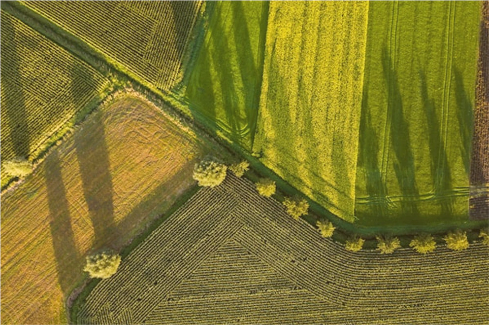 Vue aérienne de champs aux couleurs variées.